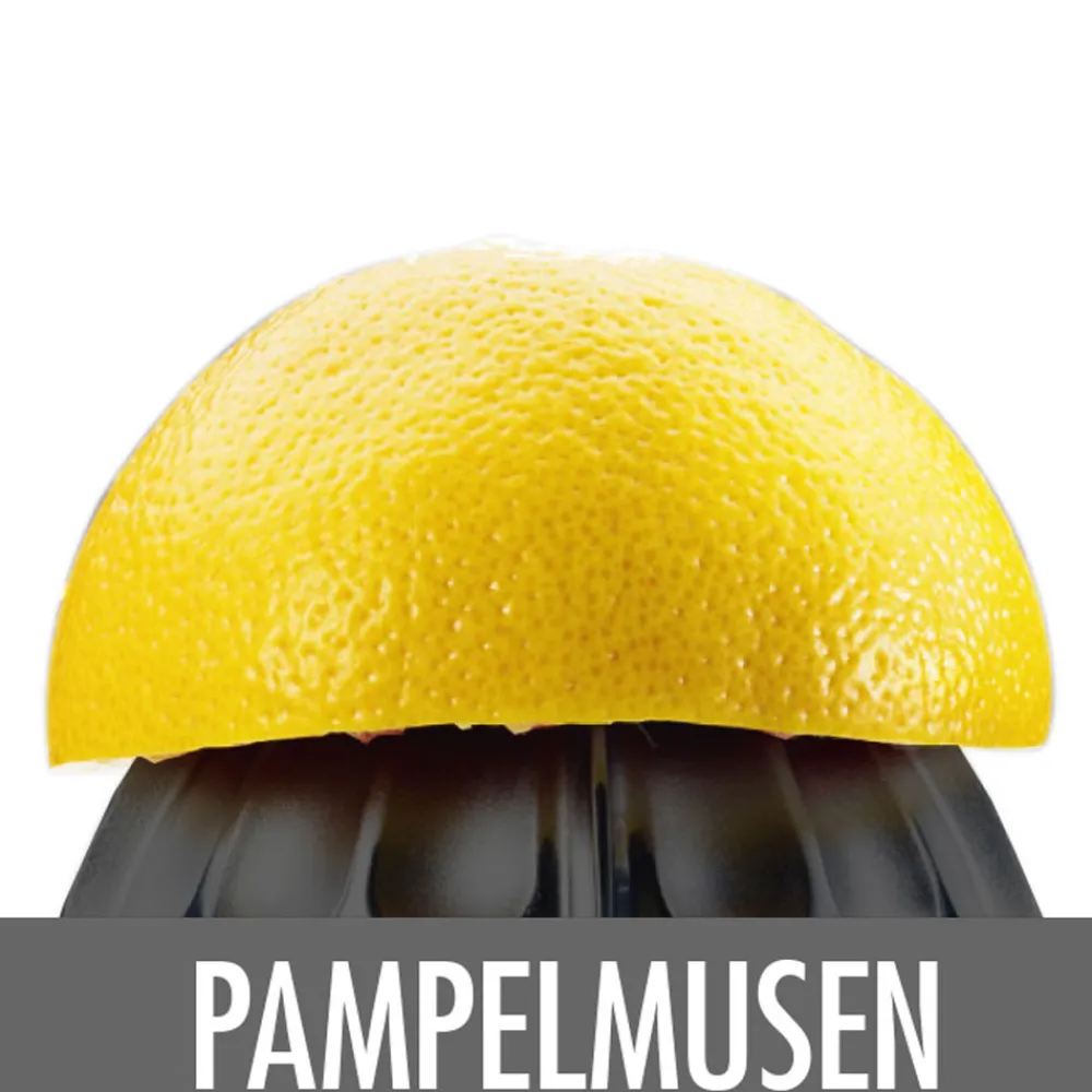 Zitruspressen*GASTROBACK Home Culture - Zitruspresse