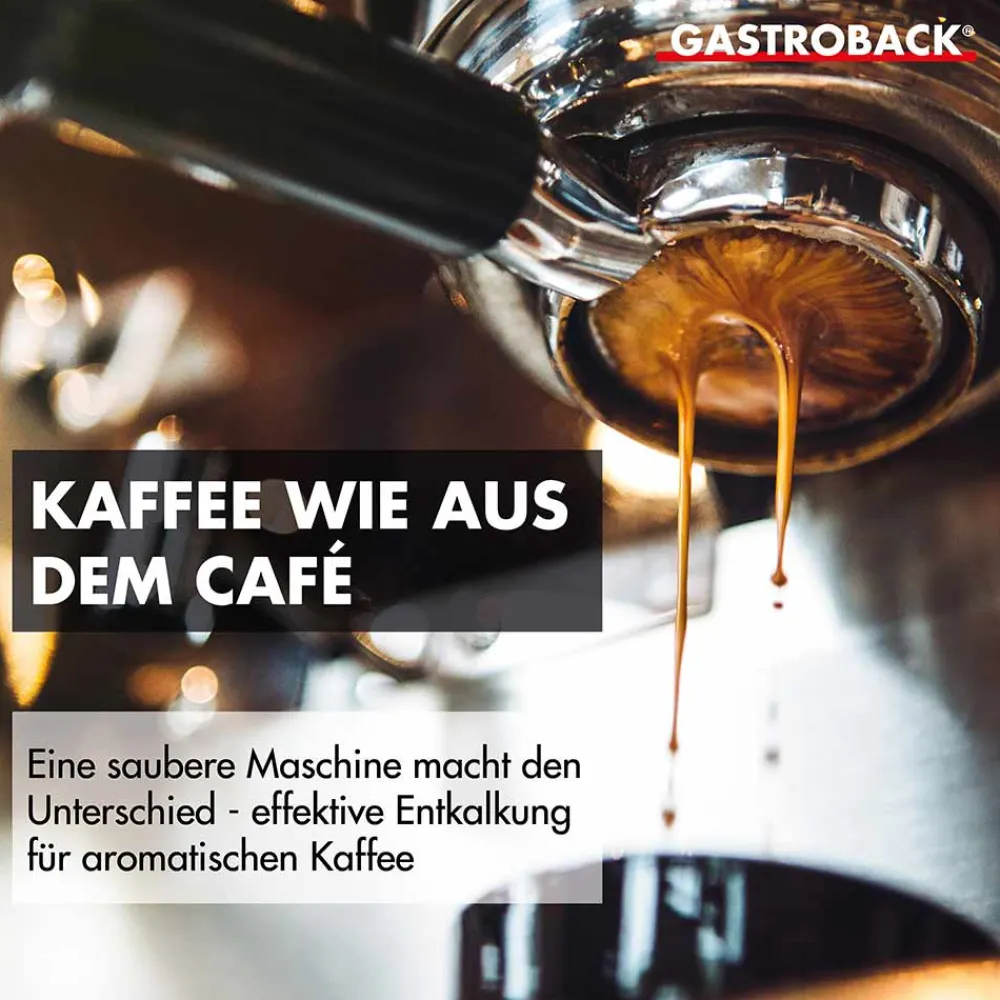 Zubehör*GASTROBACK Premium Entkalker 500 ml
