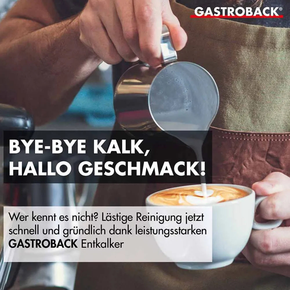 Zubehör*GASTROBACK Premium Entkalker 500 ml